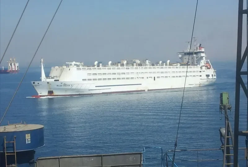 BLUE OCEAN A General Cargo IMO 9045089 photo 6