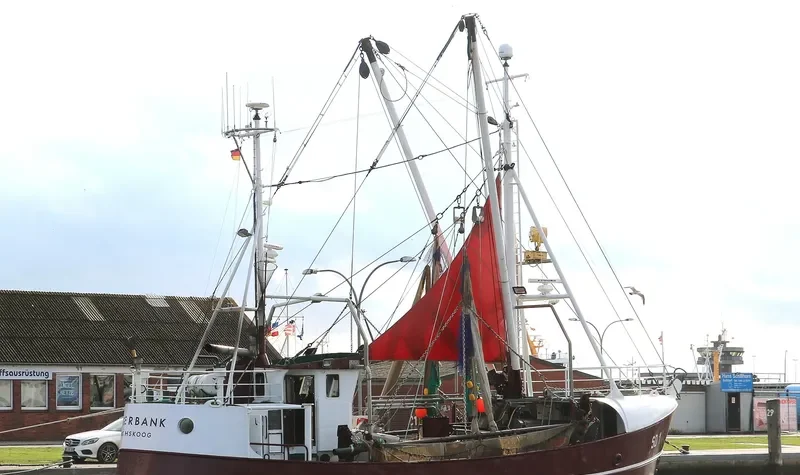 DOGGERBANK General Cargo IMO 9045259 photo 8