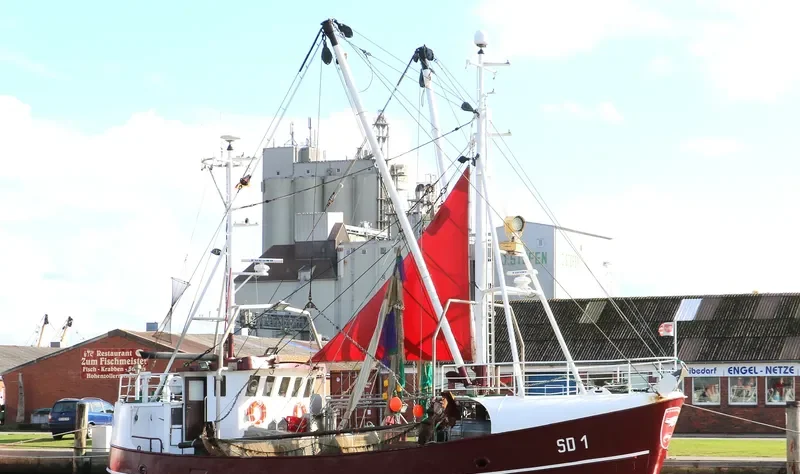 DOGGERBANK General Cargo IMO 9045259 photo 9