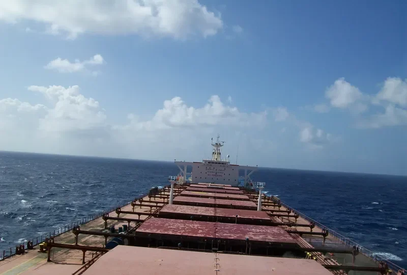 ANANGEL SPLENDOUR Bulk Carrier IMO 9045560 photo 8