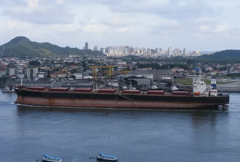 RODON Bulk Carrier IMO 9045572