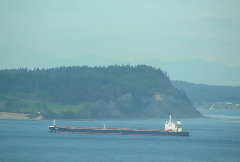 RODON Bulk Carrier IMO 9045572 photo 2