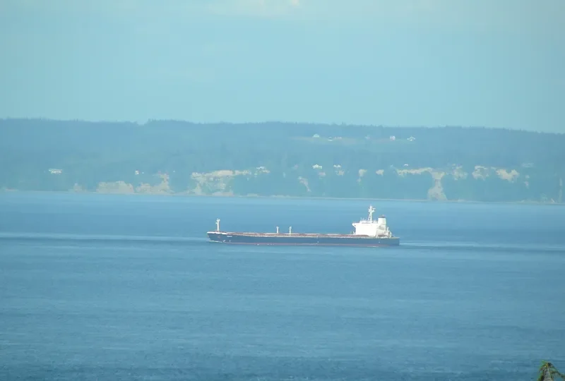 RODON Bulk Carrier IMO 9045572 photo 3