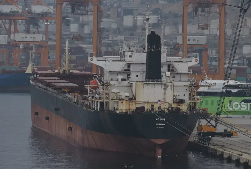 GO PUB Bulk Carrier IMO 9045900 photo 3