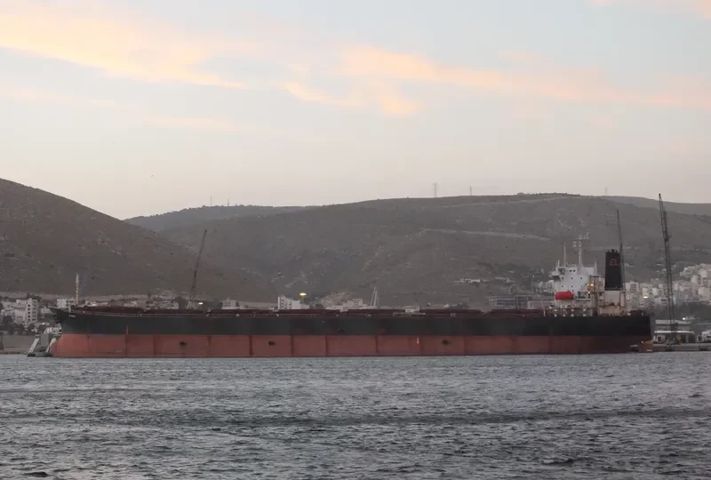 GO PUB Bulk Carrier IMO 9045900 photo 6