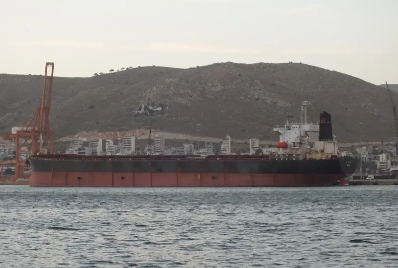 GO PUB Bulk Carrier IMO 9045900 photo 7