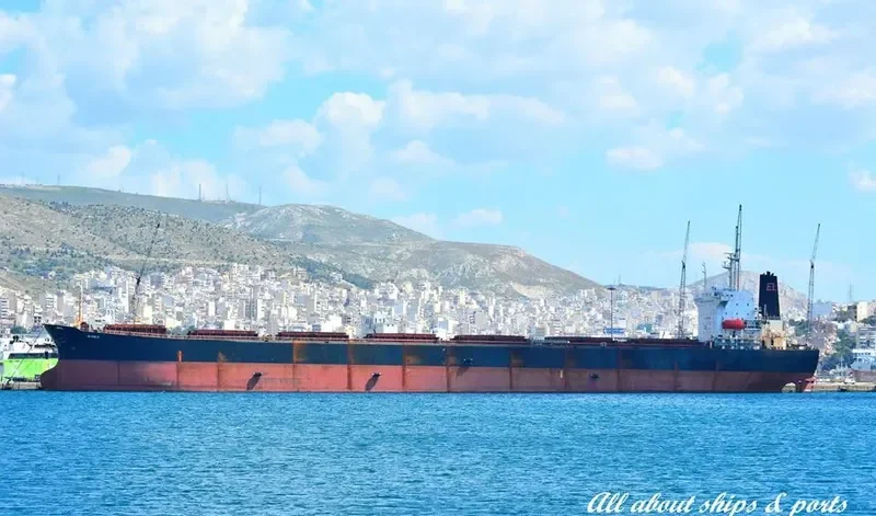 GO PUB Bulk Carrier IMO 9045900 photo 8