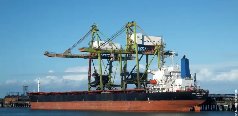 LOS LLANITOS Bulk Carrier IMO 9045912