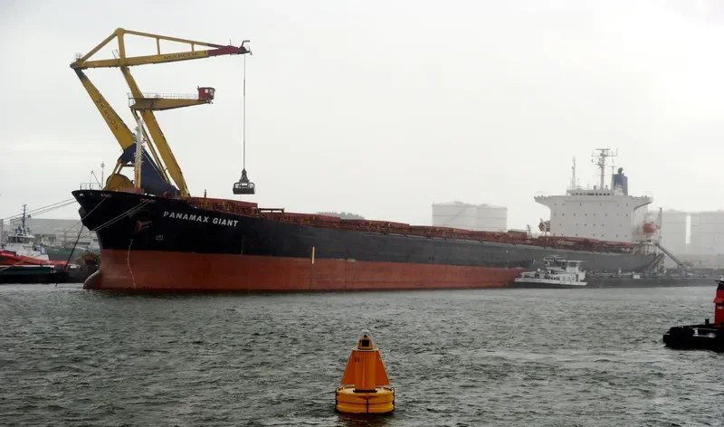 LOS LLANITOS Bulk Carrier IMO 9045912 photo 6