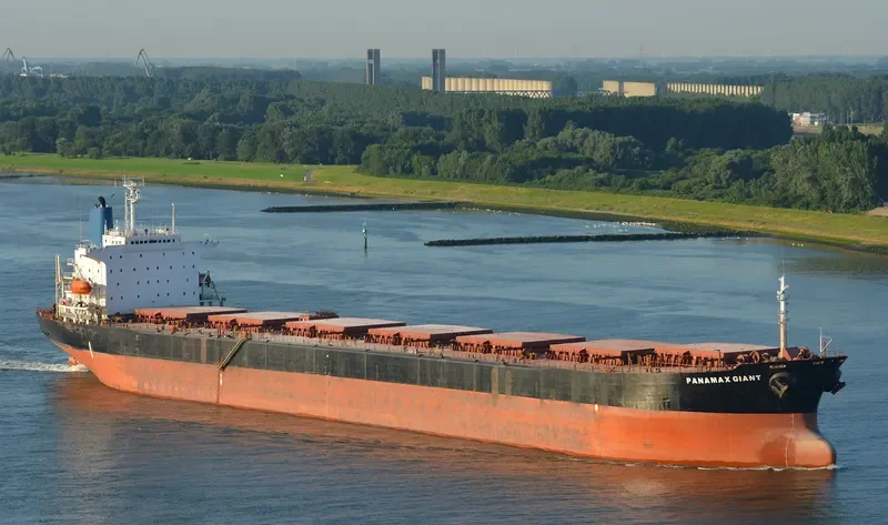 LOS LLANITOS Bulk Carrier IMO 9045912 photo 8