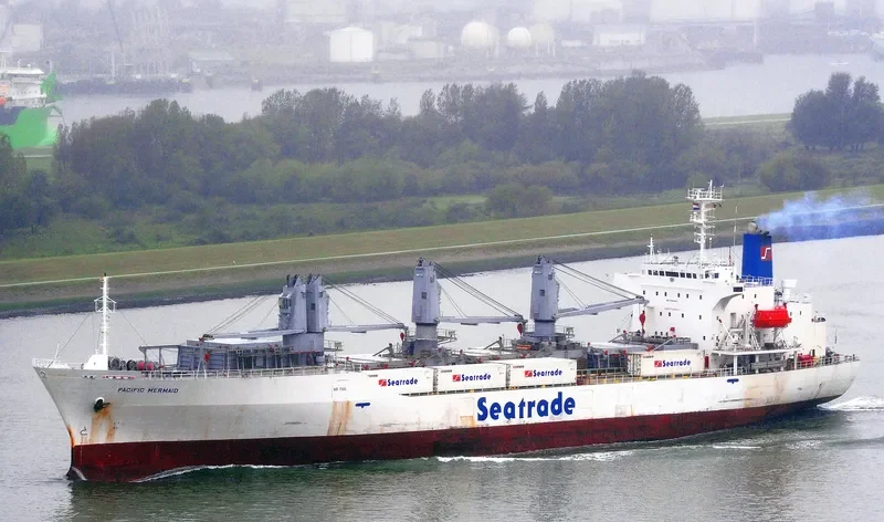 PACIFIC MERMAID General Cargo IMO 9045924 photo 6