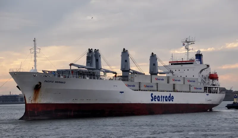 PACIFIC MERMAID General Cargo IMO 9045924 photo 8
