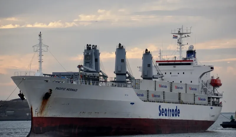 PACIFIC MERMAID General Cargo IMO 9045924 photo 9
