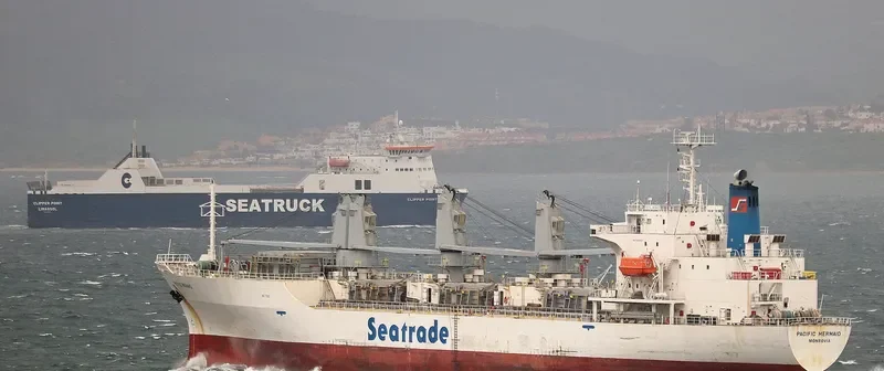 PACIFIC MERMAID General Cargo IMO 9045924 photo 10