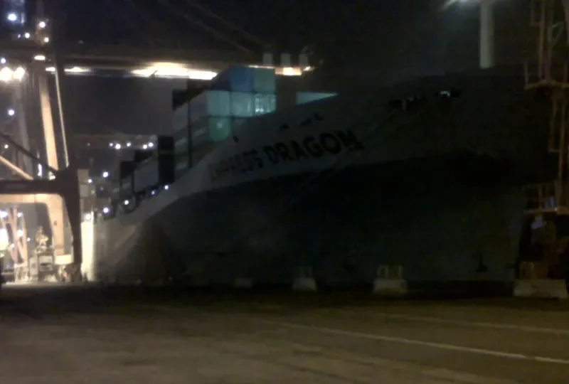 EMPRESS DRAGON Container Ship IMO 9046112 photo 8