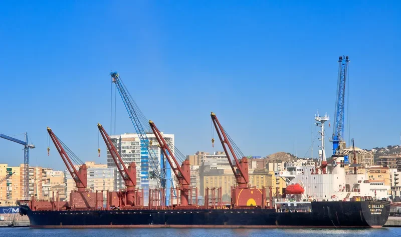 C BALLAD Bulk Carrier IMO 9046265 photo 4