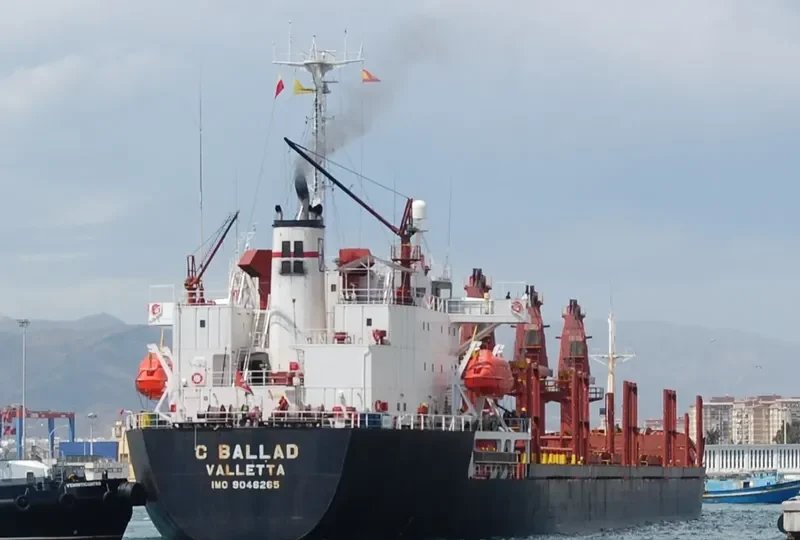 C BALLAD Bulk Carrier IMO 9046265 photo 6