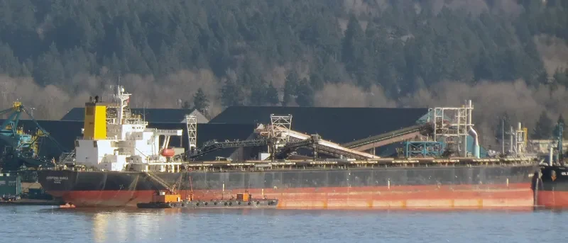 DUNFENG MANILA Bulk Carrier IMO 9046344 photo 7