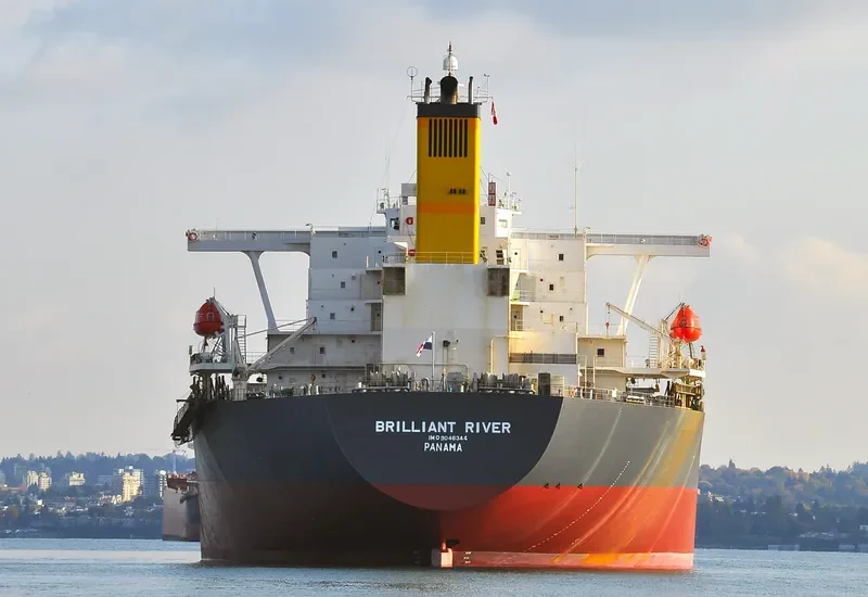 DUNFENG MANILA Bulk Carrier IMO 9046344 photo 9