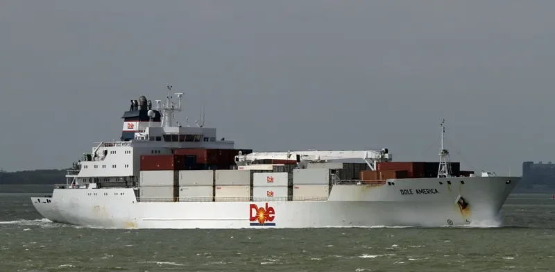 DOLE AMERICA General Cargo IMO 9046502 photo 7