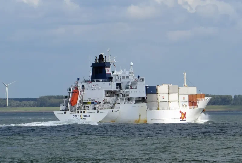 DOLE EUROPA General Cargo IMO 9046514 photo 2