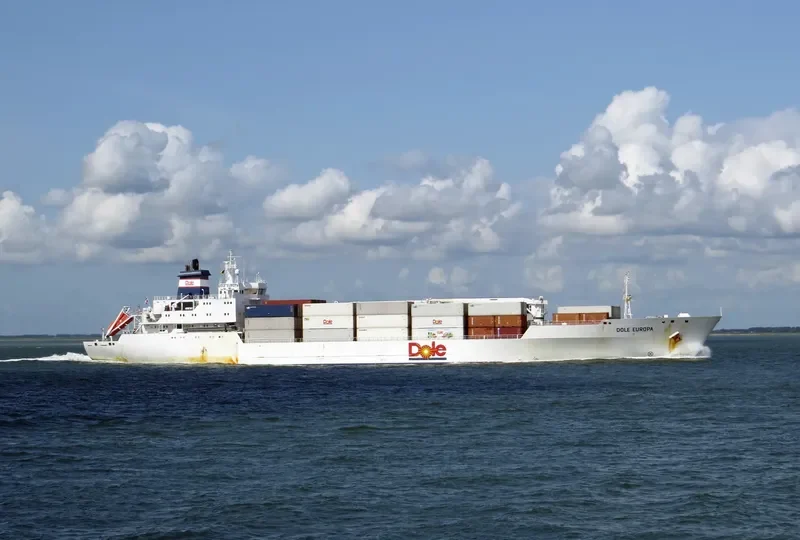 DOLE EUROPA General Cargo IMO 9046514 photo 4