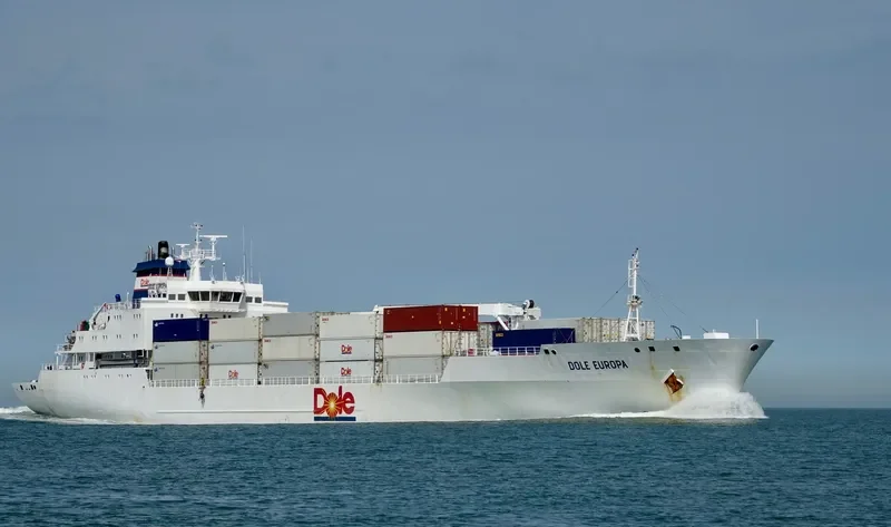DOLE EUROPA General Cargo IMO 9046514 photo 9