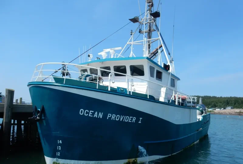 OCEAN PROVIDER I General Cargo IMO 9046552 photo 2