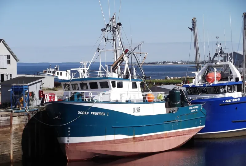 OCEAN PROVIDER I General Cargo IMO 9046552 photo 5