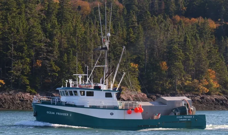 OCEAN PROVIDER I General Cargo IMO 9046552 photo 8