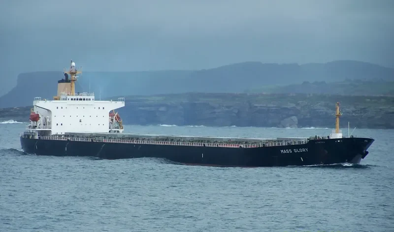 MASS GLORY Bulk Carrier IMO 9046916 photo 2