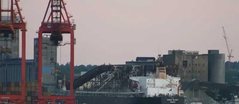 MASS GLORY Bulk Carrier IMO 9046916 photo 8