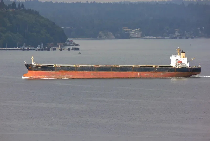 MASS GLORY Bulk Carrier IMO 9046916 photo 10