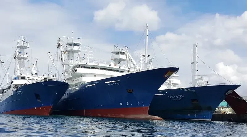 ELAI ALAI General Cargo IMO 9046966 photo 2