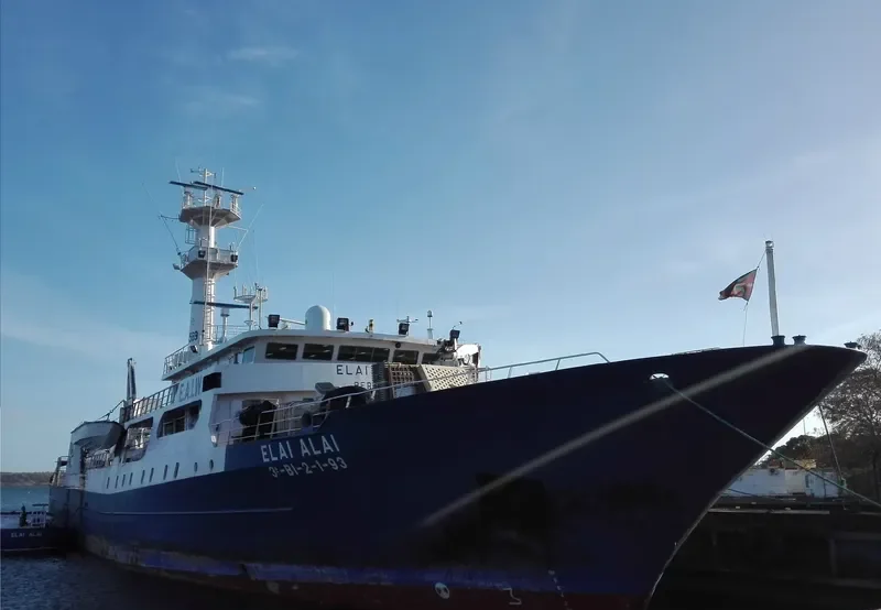 ELAI ALAI General Cargo IMO 9046966 photo 3