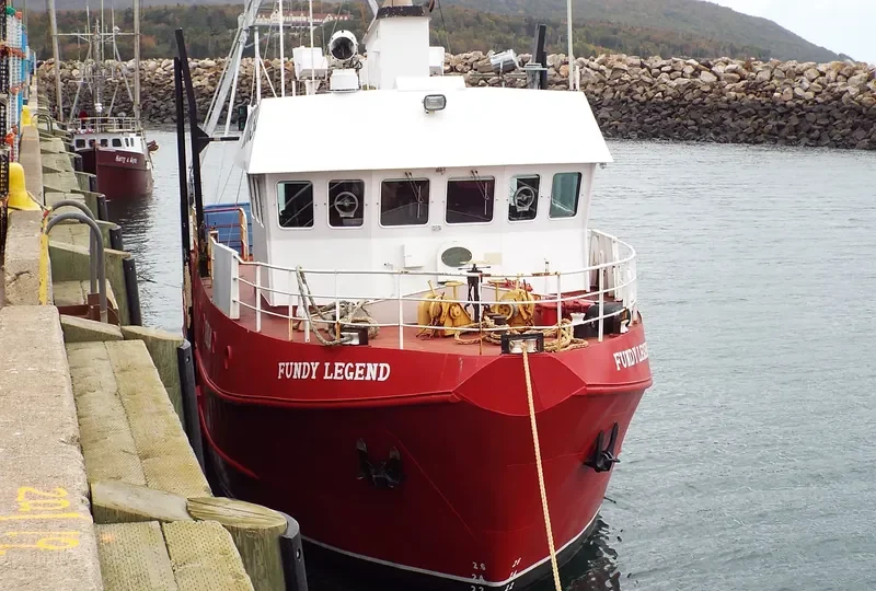 FUNDY LEGAND General Cargo IMO 9046978