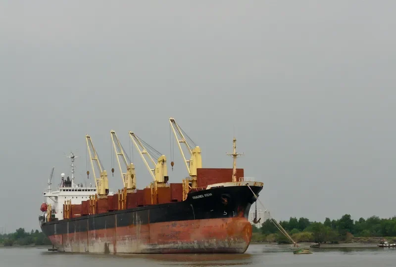 NEW GOLD Bulk Carrier IMO 9047013 photo 5