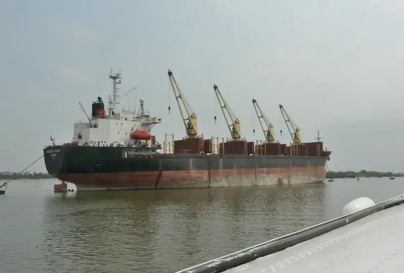 NEW GOLD Bulk Carrier IMO 9047013 photo 6