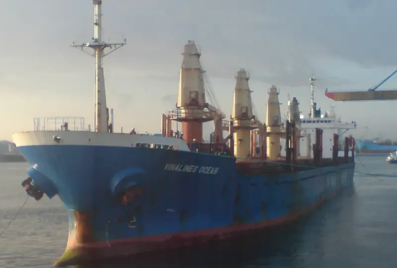 NEW GOLD Bulk Carrier IMO 9047013 photo 7