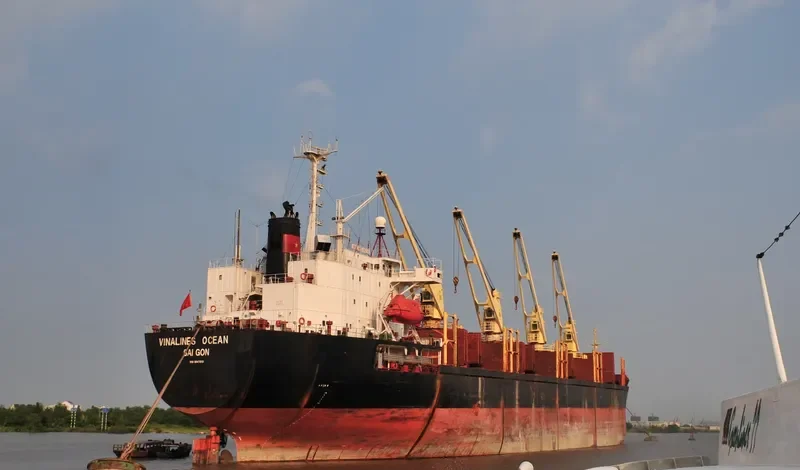 NEW GOLD Bulk Carrier IMO 9047013 photo 8