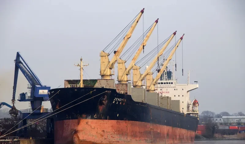 RUI FU OCEAN Bulk Carrier IMO 9047037 photo 2