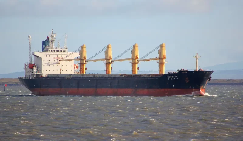 RUI FU OCEAN Bulk Carrier IMO 9047037 photo 5