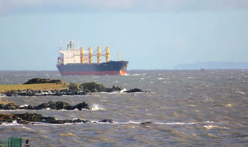 RUI FU OCEAN Bulk Carrier IMO 9047037 photo 6
