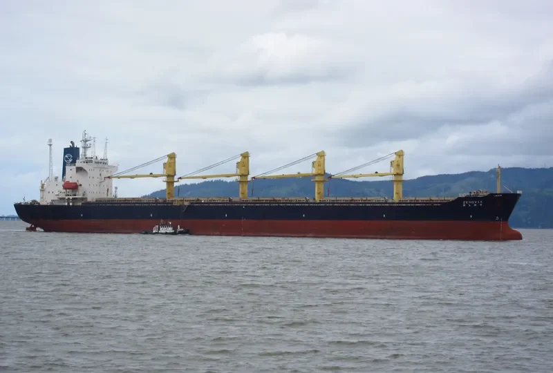 RUI FU OCEAN Bulk Carrier IMO 9047037 photo 7