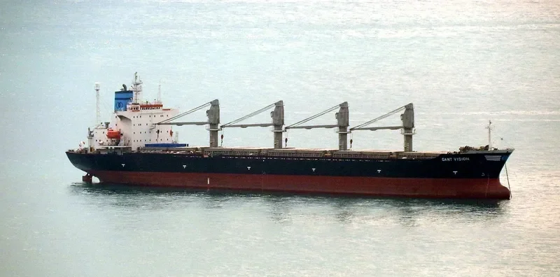 GANT VISION Bulk Carrier IMO 9047049