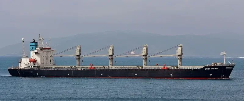 GANT VISION Bulk Carrier IMO 9047049 photo 3