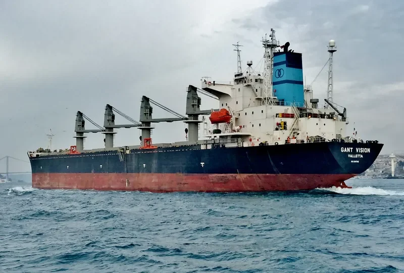 GANT VISION Bulk Carrier IMO 9047049 photo 4