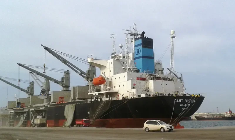 GANT VISION Bulk Carrier IMO 9047049 photo 5