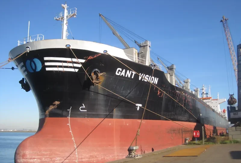 GANT VISION Bulk Carrier IMO 9047049 photo 8