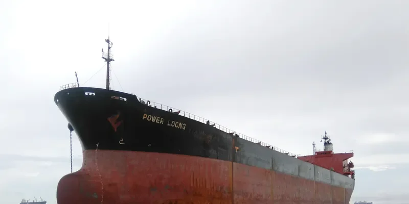 POWER LOONG Bulk Carrier IMO 9047051 photo 2